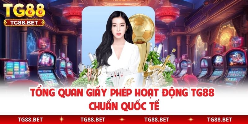 Tổng quan giấy phép hoạt động TG88 chuẩn quốc tế